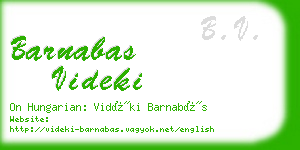 barnabas videki business card